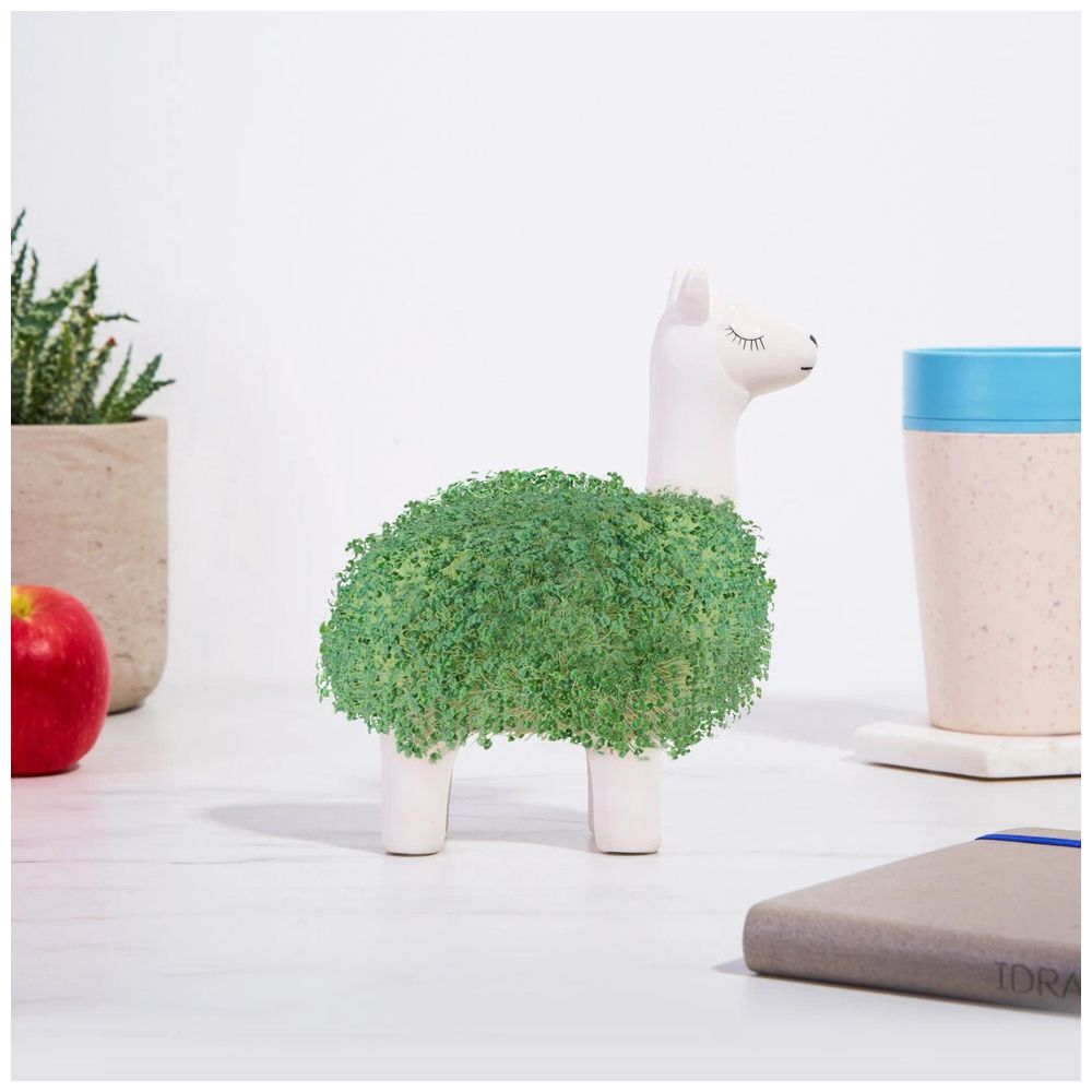 Il Lama Vegetale