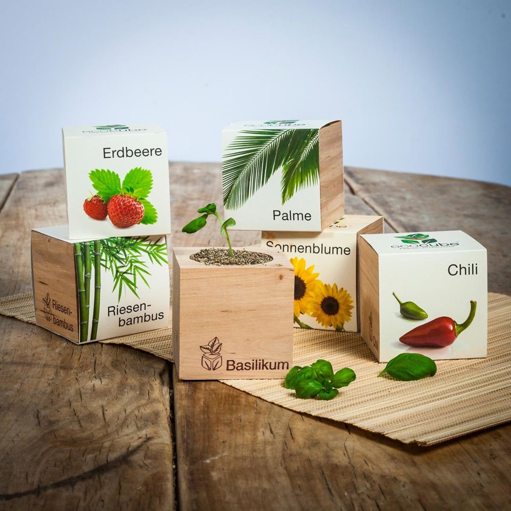 Ecocube - piante in cubi di legno