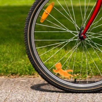 Gattino in bicicletta Kordula
