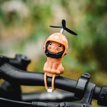 Gattino da Bicicletta