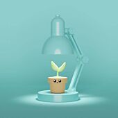 Mini Lampada con Piantina